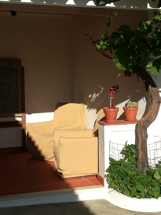 Vila Nova  Casa Dos Pedro'Sゲストハウス エクステリア 写真